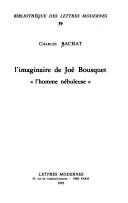 Cover of: L' imaginaire de Joë Bousquet: l'homme nébuleuse