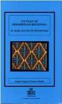 Un plan de desarrollo regional by Angel Augusto Castro Rubio