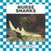 Cover of: Nurse sharks