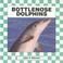 Cover of: Bottlenose dolphins