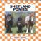 Cover of: Shetland ponies