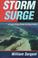 Cover of: Storm surge