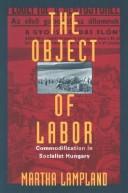 The object of labor by Lampland, Martha.