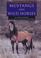 Cover of: Mustangs and wild horses