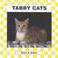 Cover of: Tabby cats