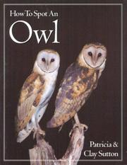 Cover of: How to Spot an Owl (How to Spot)