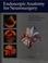 Cover of: Endoscopic anatomy for neurosurgery
