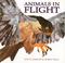 Cover of: Animals in Flight