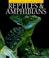 Cover of: Reptiles & amphibians