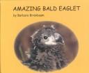 Cover of: Amazing bald eaglet