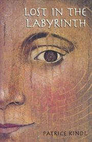 Cover of: Lost in the labyrinth: a novel