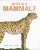 Cover of: What is a mammal? by Robert Snedden