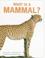 Cover of: What is a mammal?