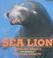 Cover of: Sea lion