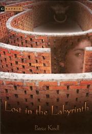 Cover of: Lost in the Labyrinth