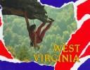 Cover of: West Virginia by Domenica Di Piazza