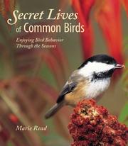 Cover of: Secret Lives of Common Birds: Enjoying Bird Behavior Through the Seasons