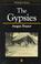 Cover of: The gypsies