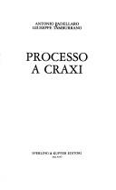 Cover of: Processo a Craxi by Antonio Padellaro