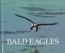 Cover of: Bald eagles by Sandra Lee