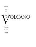 Cover of: Out of the volcano: portraits of contemporary Mexican artists