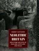 Cover of: Neolithic Britain: new stone age sites of England, Scotland, and Wales