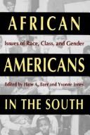 Cover of: African Americans in the South by Hans A. Baer and Yvonne Jones, editors.