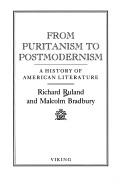 Cover of: From Puritanism to postmodernism: a history of American literature