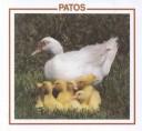 Cover of: Patos