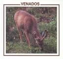 Cover of: Venados by Lynn M. Stone
