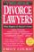Cover of: The divorce lawyers