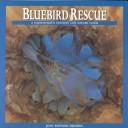 Bluebird rescue by Joan Rattner Heilman
