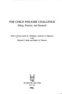 Cover of: The child welfare challenge by Peter J. Pecora