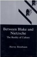 Cover of: Between Blake and Nietzsche: the reality of culture