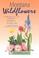 Cover of: Montana wildflowers