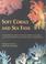 Cover of: Soft corals and sea fans