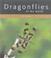 Cover of: Dragonflies of the World