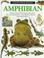 Cover of: Amphibian