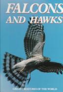 Cover of: Falcons and hawks by Penny Olsen
