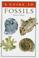Cover of: A guide to fossils