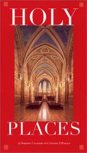 Cover of: Holy places: sacred sites in Catholicism
