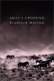 Cover of: Ariel's crossing