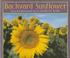 Cover of: Backyard sunflower