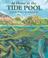 Cover of: At home in the tide pool