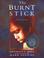 Cover of: The burnt stick