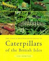 Cover of: The Colour Identifaction Guide to Caterpillars of the British Isles