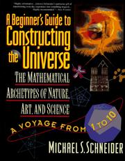 Cover of: A Beginner's Guide to Constructing the Universe by Michael S. Schneider