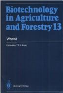 Cover of: Wheat by edited by Y.P.S. Bajaj.