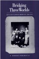 Cover of: Bridging three worlds | Robert Perlman