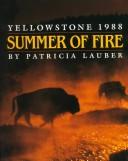 Summer of Fire by Patricia Lauber